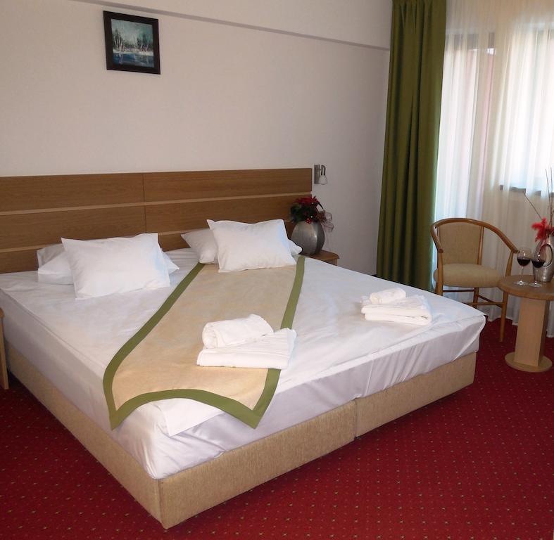Hotel Carpati Predeal Δωμάτιο φωτογραφία